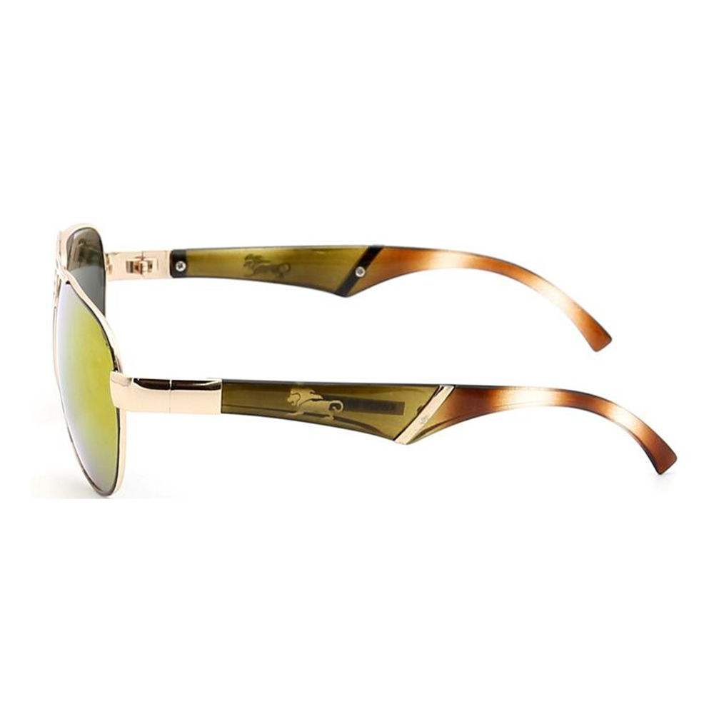 XW029 Metal Sunglasses